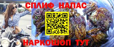 прущий лед Аша