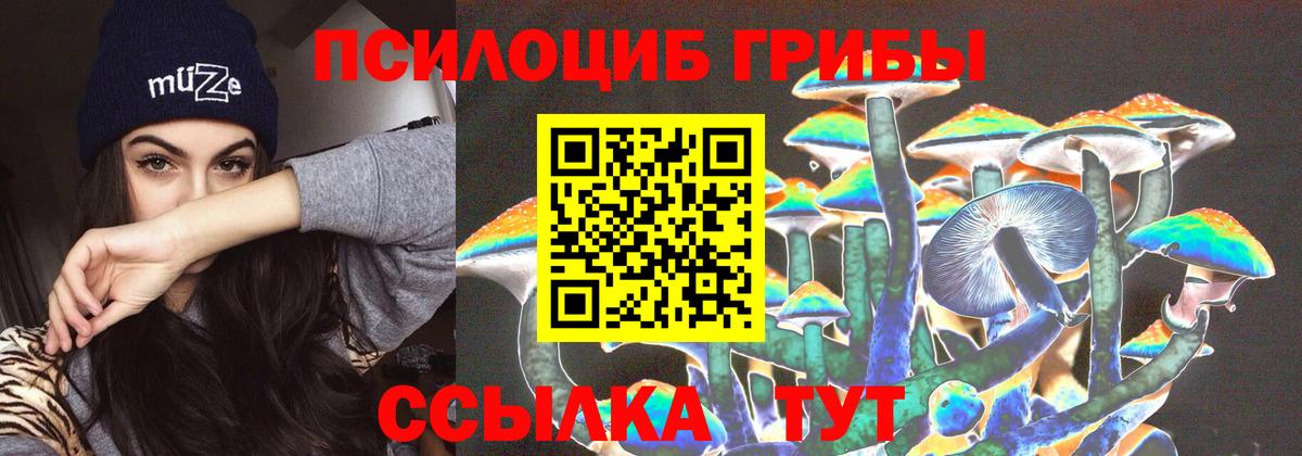 Галлюциногенные грибы GOLDEN TEACHER  Вход с VPN  Ейск 